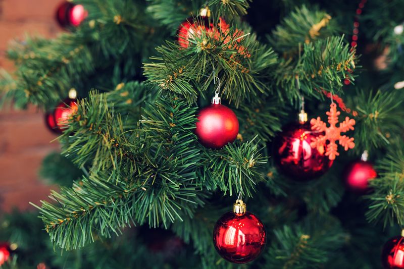  Clontarf Christmas Tree Collection Service